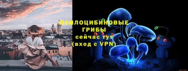 хмурый Магас