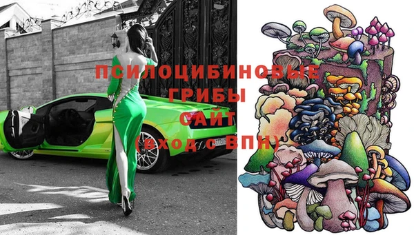 хмурый Магас