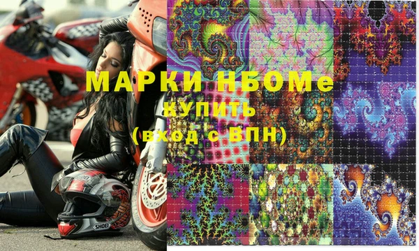 хмурый Магас