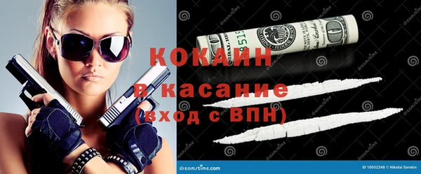хмурый Магас