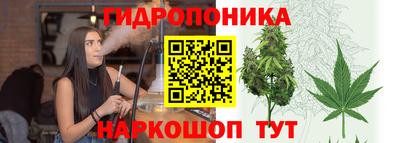 стафф Партизанск