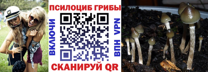 omg зеркало  Моршанск  Псилоцибиновые грибы прущие грибы  сайты даркнета формула  купить  цена 