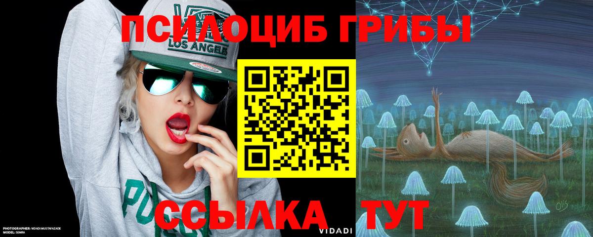 Псилоцибиновые грибы Cubensis Моршанск