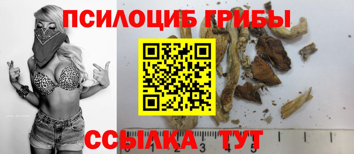 Моршанск  Галлюциногенные грибы Magic Shrooms  Вход с VPN 